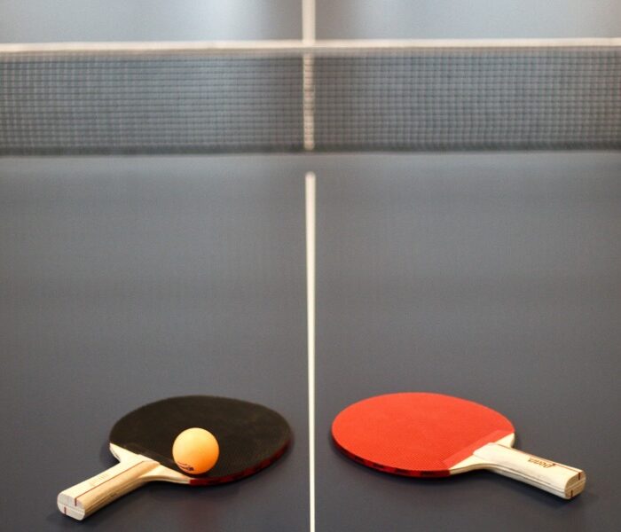 Table de ping pong